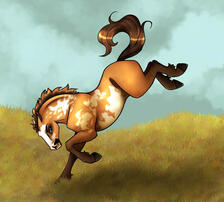 Custom Fullbody: 40-70$
